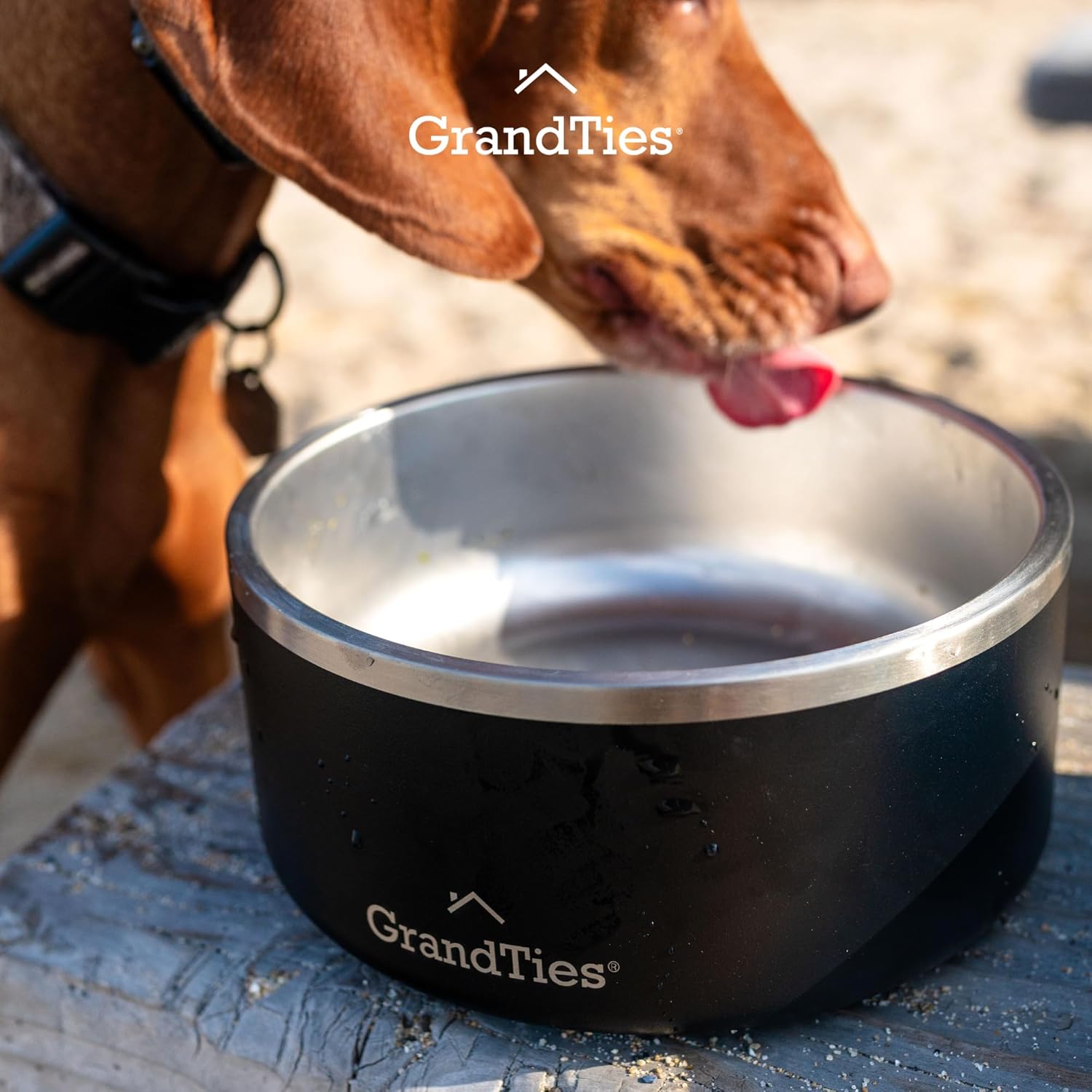 GrandTies Cuenco de acero inoxidable para perros  Cuenco reutilizable grabado sin BPA con aislamiento para gatos y perros  Cuenco grande y