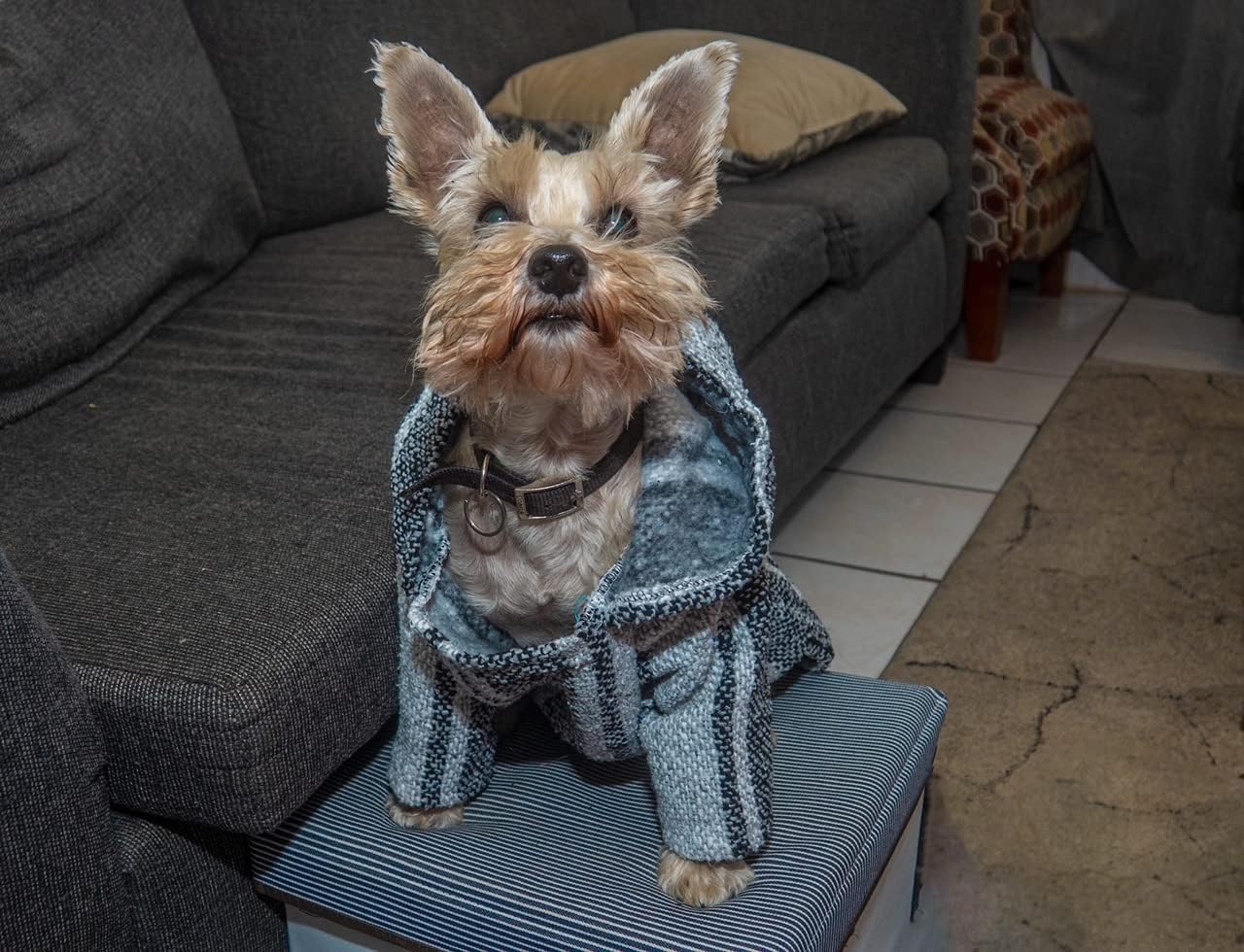 Poncho mexicano con capucha para perro, manta de poncho para perros, disfraz de cachorro, pijama de chihuahua, ropa de perro pequeño, mediano a