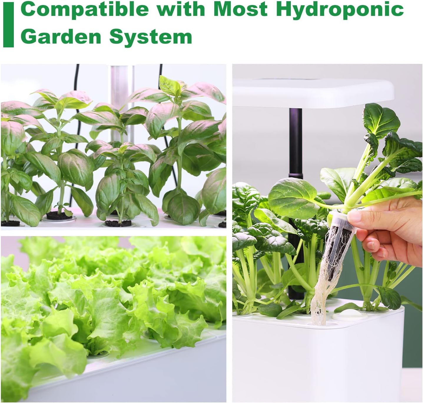 Kit de 77 cápsulas de semillas para Aero Garden y todo el sistema hidropónico, kit Oliz Grow Anything con 12 esponjas de cultivo, 12 cestas de