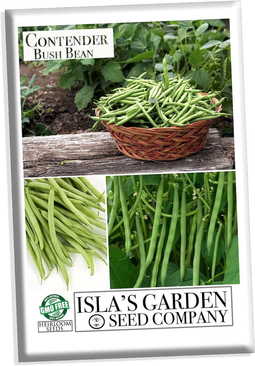 Contender – Semillas de frijol de arbusto para plantar, más de 50 semillas tradicionales por paquete, semillas de jardín de Isla (semillas de jardín