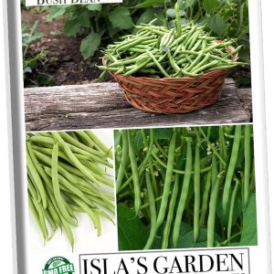 Contender – Semillas de frijol de arbusto para plantar, más de 50 semillas tradicionales por paquete, semillas de jardín de Isla (semillas de jardín Contender – Semillas de frijol de arbusto para plantar, más de 50 semillas tradicionales por paquete, semillas de jardín de Isla (semillas de jardín
