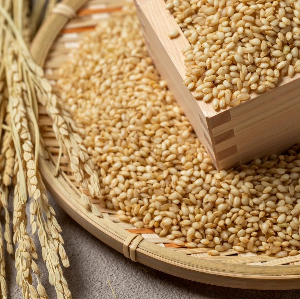 Arroz integral japonés Koshihikari de grado superior – YUKINOHO – Cosecha exclusiva y especialmente cultivada en Niigata Minamiuonuma – 11 libras