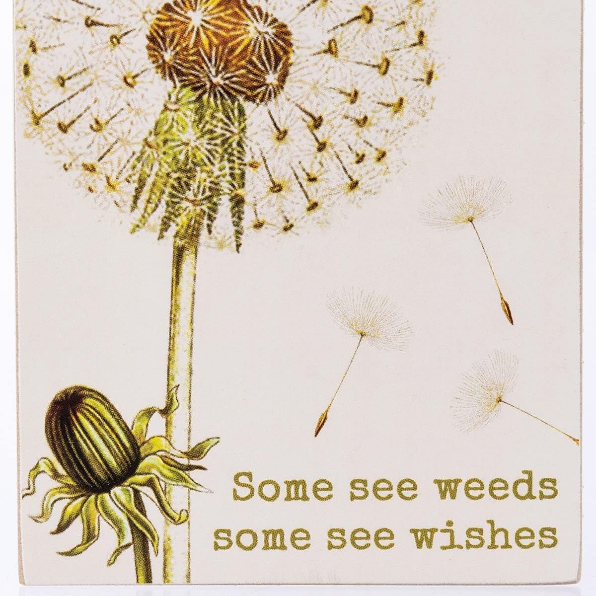 Primitives by Kathy Some See Weeds Some See Wishes, I Think of You Every Daisy, You Bet Your Sweet Aster – Juego de imanes decorativos