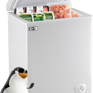 WANAI Congelador de pecho independiente con cesta de almacenamiento y pies ajustables, puerta abierta, pequeño y compacto, termostatos ajustables WANAI Congelador de pecho independiente con cesta de almacenamiento y pies ajustables, puerta abierta, pequeño y compacto, termostatos ajustables