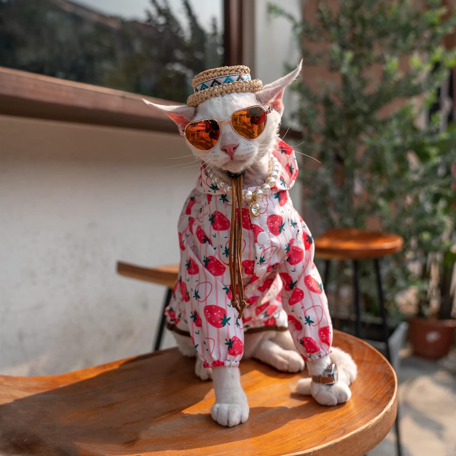 Ropa de verano para gatos sin pelo, ropa de protección solar anti-ultravioleta, chaqueta delgada de manga larga con capucha para Sphynx, Cornish