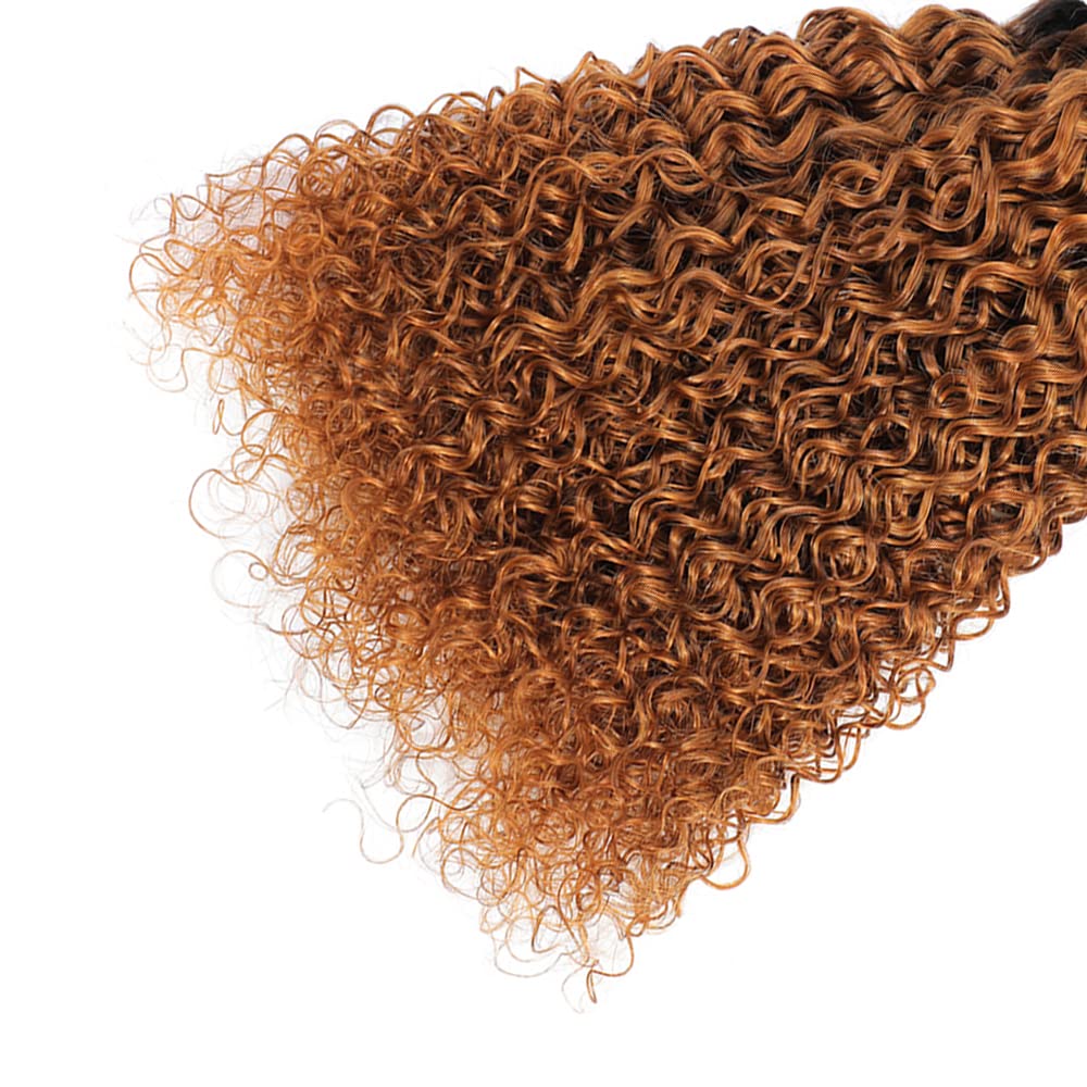 1B30 – Manojos de cabello humano rizado ombré, color marrón degradado, paquetes de cabello virgen 100% sin procesar, paquetes de cabello Remy