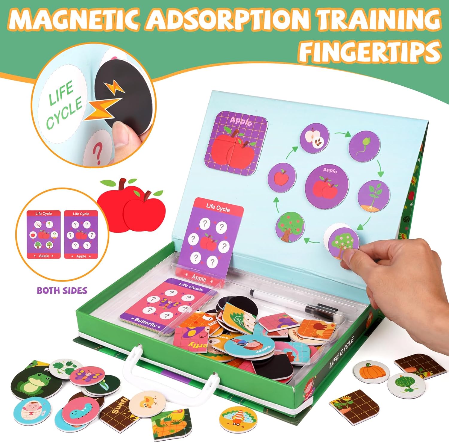 Juguetes educativos de ciclo de vida para niños, magnético ciclo de vida ocupado libro de aprendizaje Montessori, juego a juego para niños pequeños