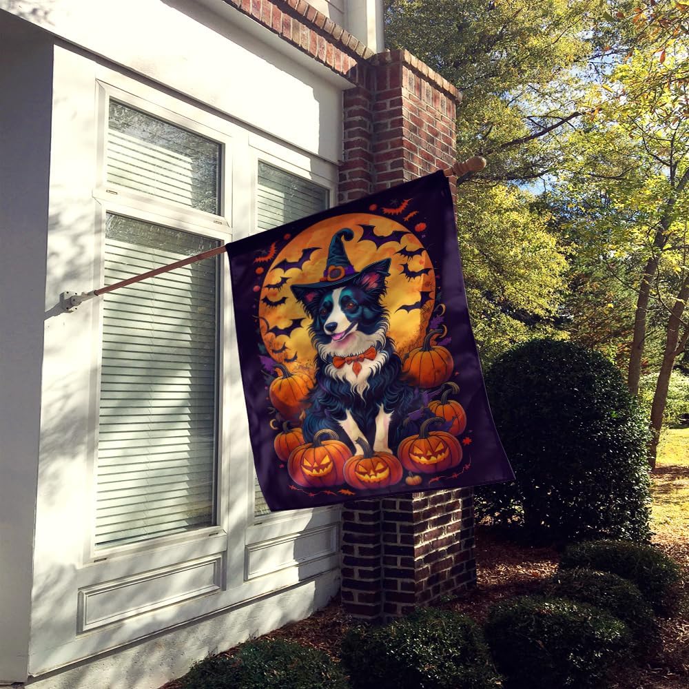 Caroline’s Treasures DAC1483CHF – Bandera de Halloween de Border Collie Witchy para porche, manga grande, para porche, cartel decorativo para colgar