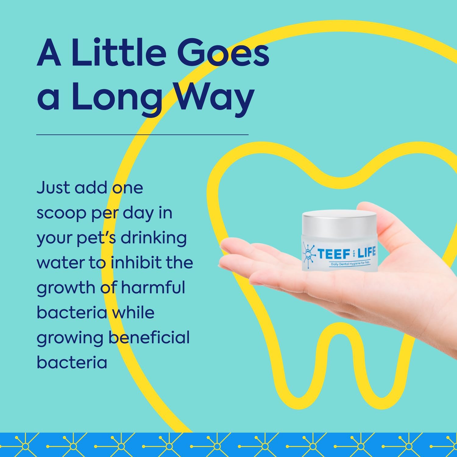 TEEF for Life Protektin42 aditivo de agua dental derivado de plantas para perros, cuidado dental diario, fórmula clínicamente probada que combate
