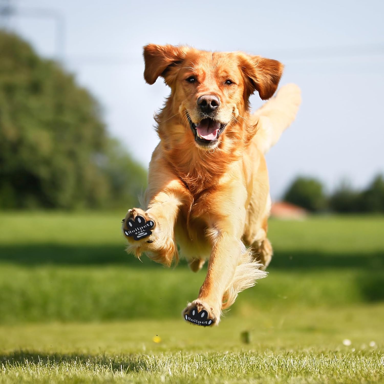 Almohadillas para patas de perro para tracción, agarres antideslizantes para los dedos de los pies para perros que no se resbalen en suelos de