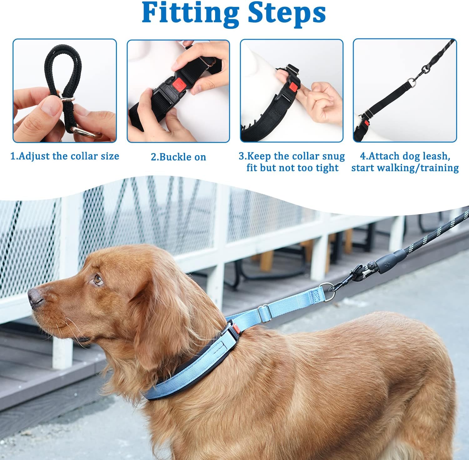 Mayerzon Collar de perro sin tirones, collar de martingala para perros pequeños, medianos y grandes, collar antitirones con hebilla y nailon