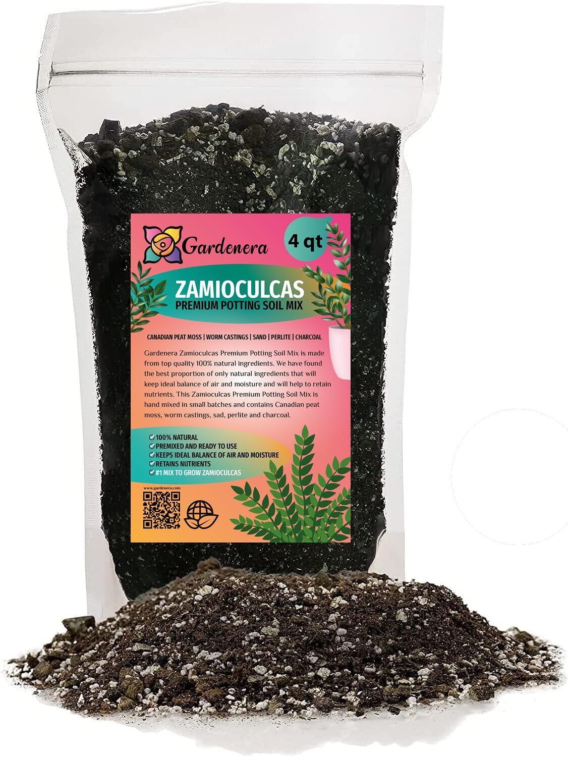 Mezcla para macetas Zamioculcas de primera calidad, eleva tu espacio con una elegancia llamativa y una belleza distintiva, 4 cuartos de galón