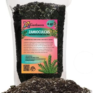 Mezcla para macetas Zamioculcas de primera calidad, eleva tu espacio con una elegancia llamativa y una belleza distintiva, 4 cuartos de galón Mezcla para macetas Zamioculcas de primera calidad, eleva tu espacio con una elegancia llamativa y una belleza distintiva, 4 cuartos de galón