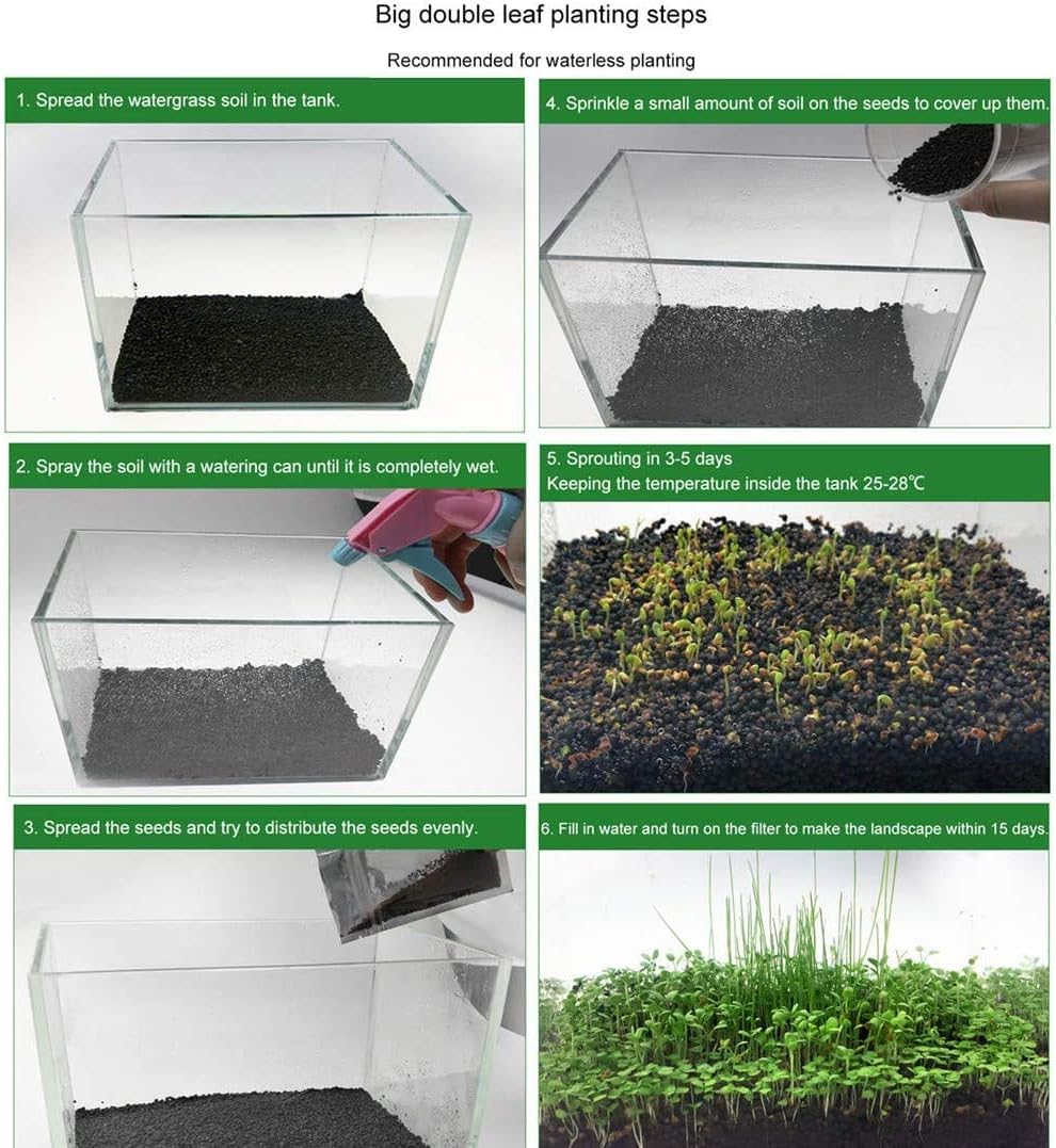 Paquete de 2 semillas de plantas de acuario vivas, plantas de hierba de agua, mini hojas, semillas de plantas de hierba de acuario, hierba de hoja