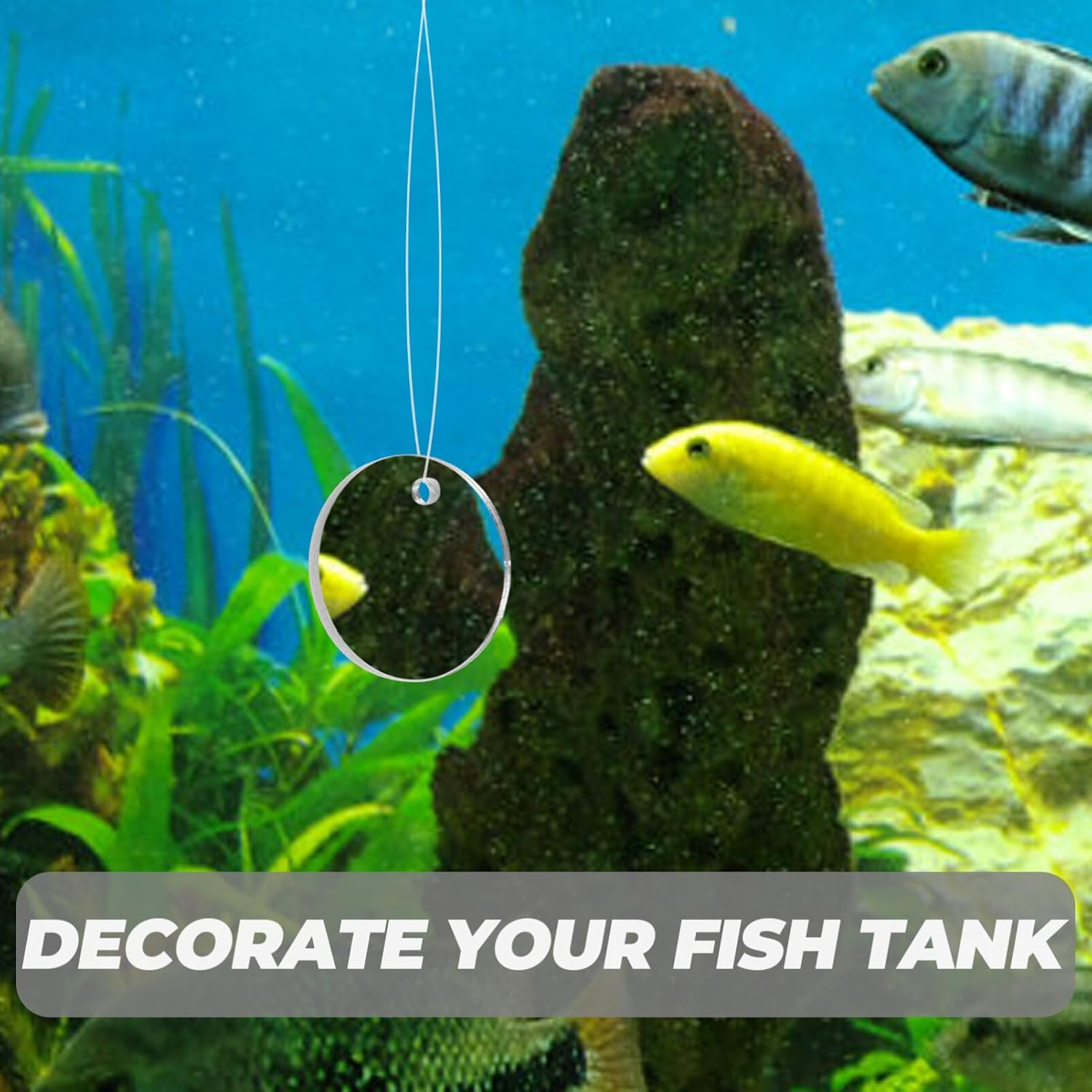 POPETPOP Betta Espejo de ejercicio 1 juego de doble cara círculo Betta espejo con bola flotante para acuario pecera 5CM