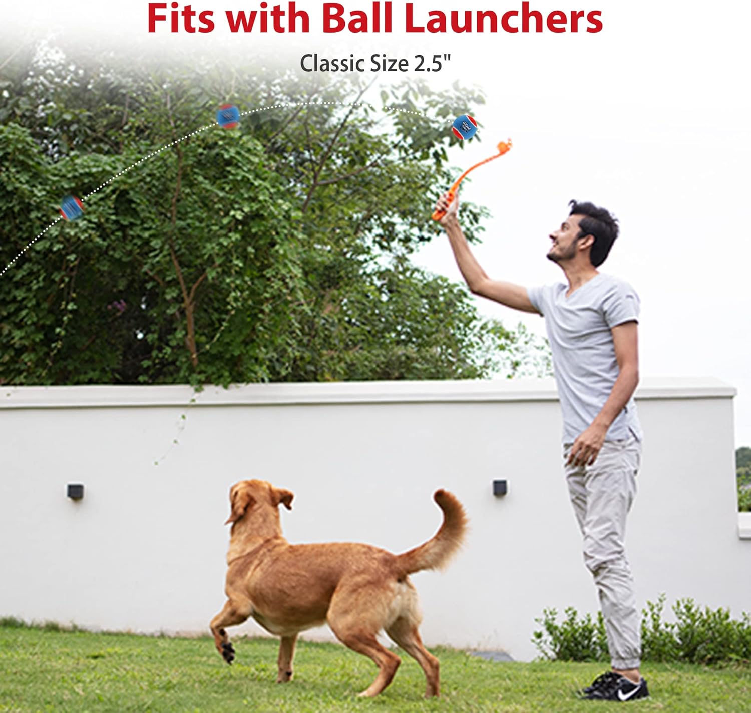 GiGwi Pelotas de tenis para perros, pelotas de tenis para perros chirriantes para ejercicio, pelotas de perro con gran capacidad de rebote de
