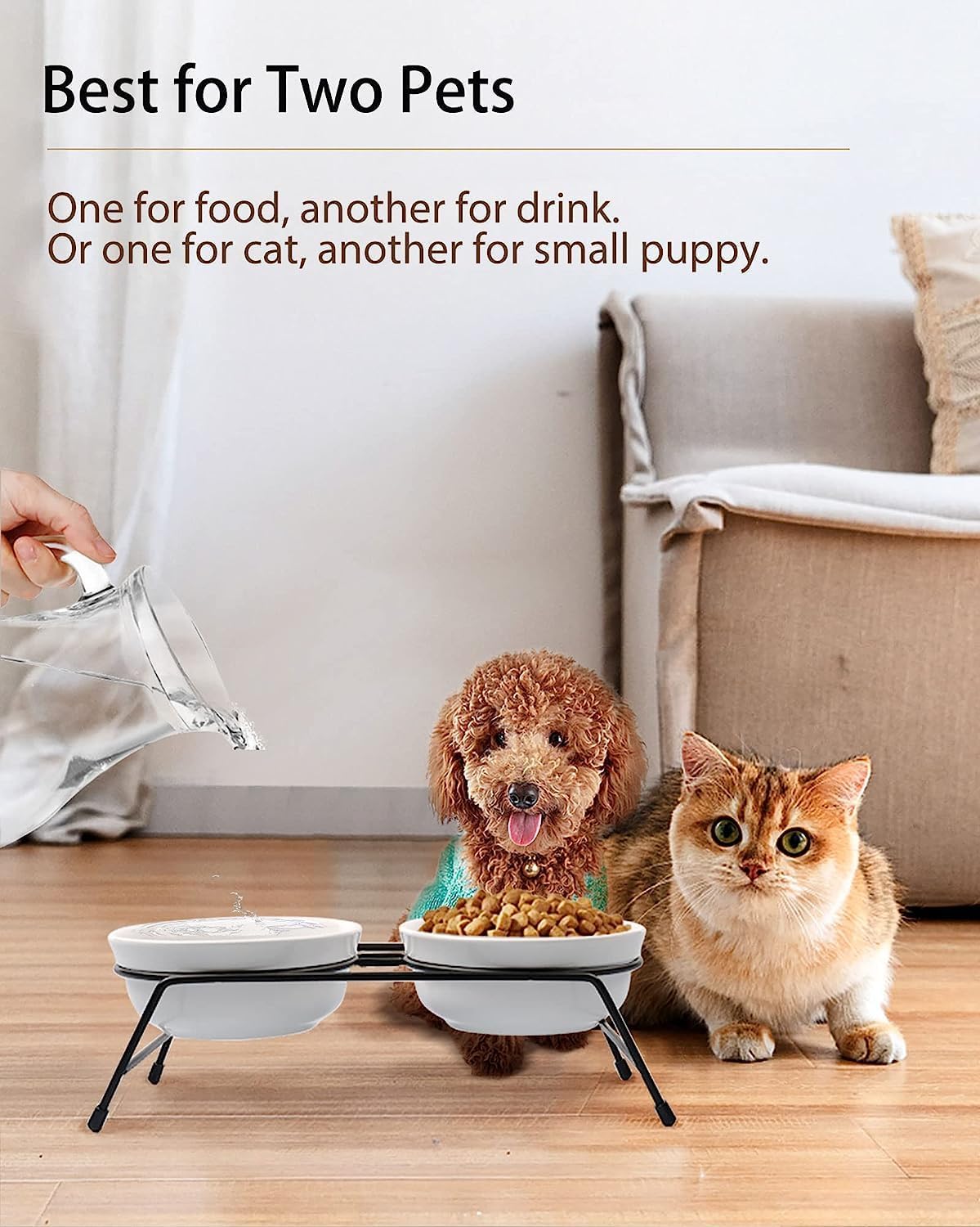 COMESOON Cuenco de cerámica para gatos de 5 pulgadas con patrón de hueso de pescado, cuenco de comida para gatos para alimentos y agua, platos