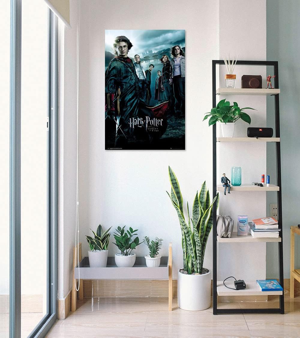 Harry Potter y el cáliz de fuego – Póster de película (estilo regular) (tamaño 24 pulgadas x 36 pulgadas)