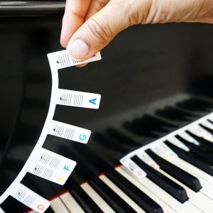 Plum Rose – Etiquetas extraíbles para notas de teclado de piano – Silicona – Alternativa a las calcomanías de teclado de piano – Etiquetas de teclas Plum Rose – Etiquetas extraíbles para notas de teclado de piano – Silicona – Alternativa a las calcomanías de teclado de piano – Etiquetas de teclas