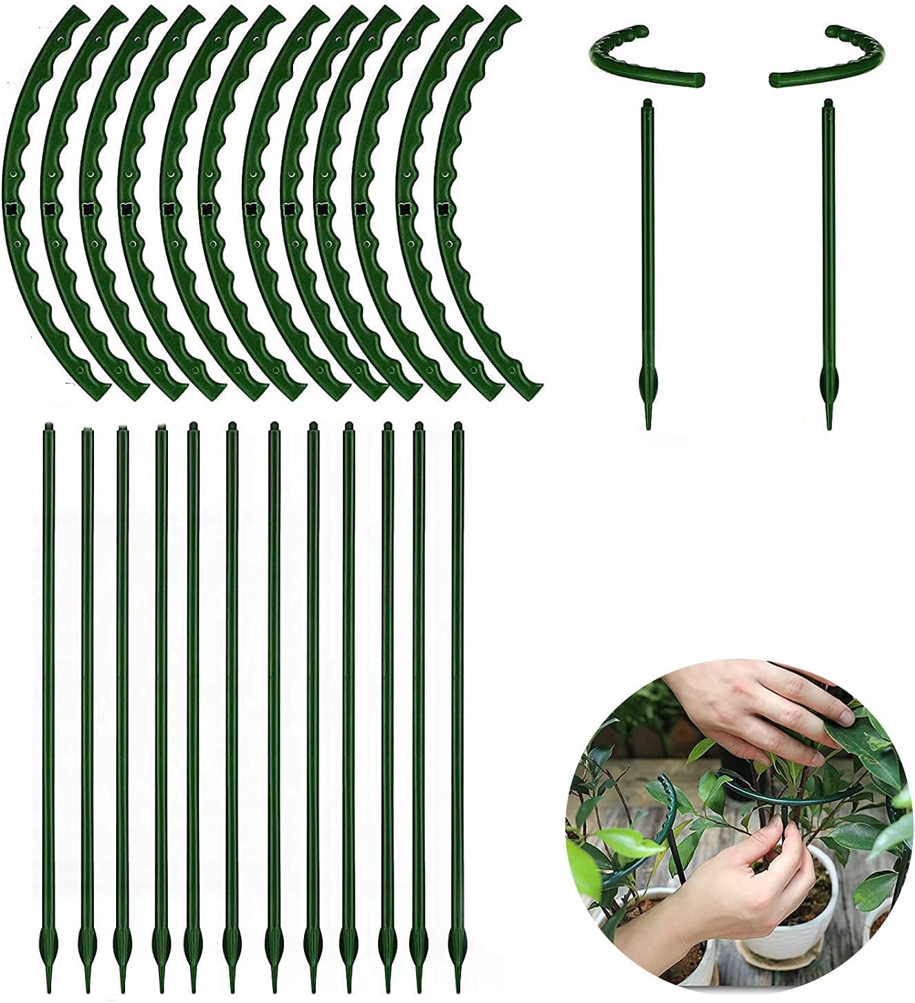 Soporte para plantas de interior y exterior, soporte para plantas pequeñas, medio redondo para plantas en maceta, estacas de plástico con 20 clips