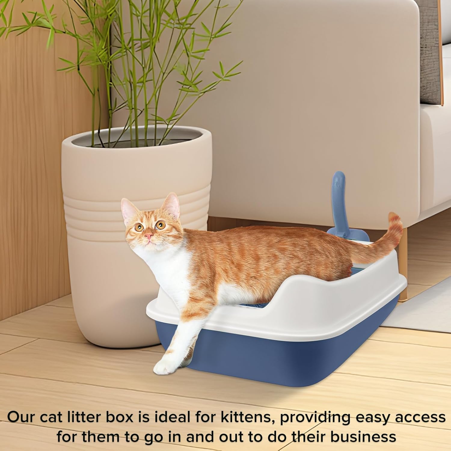 KittyClean – Caja de arena para gatos XL con estante de control, caja de arena XL para gatos grandes, caja de arena extragrande para varios gatos