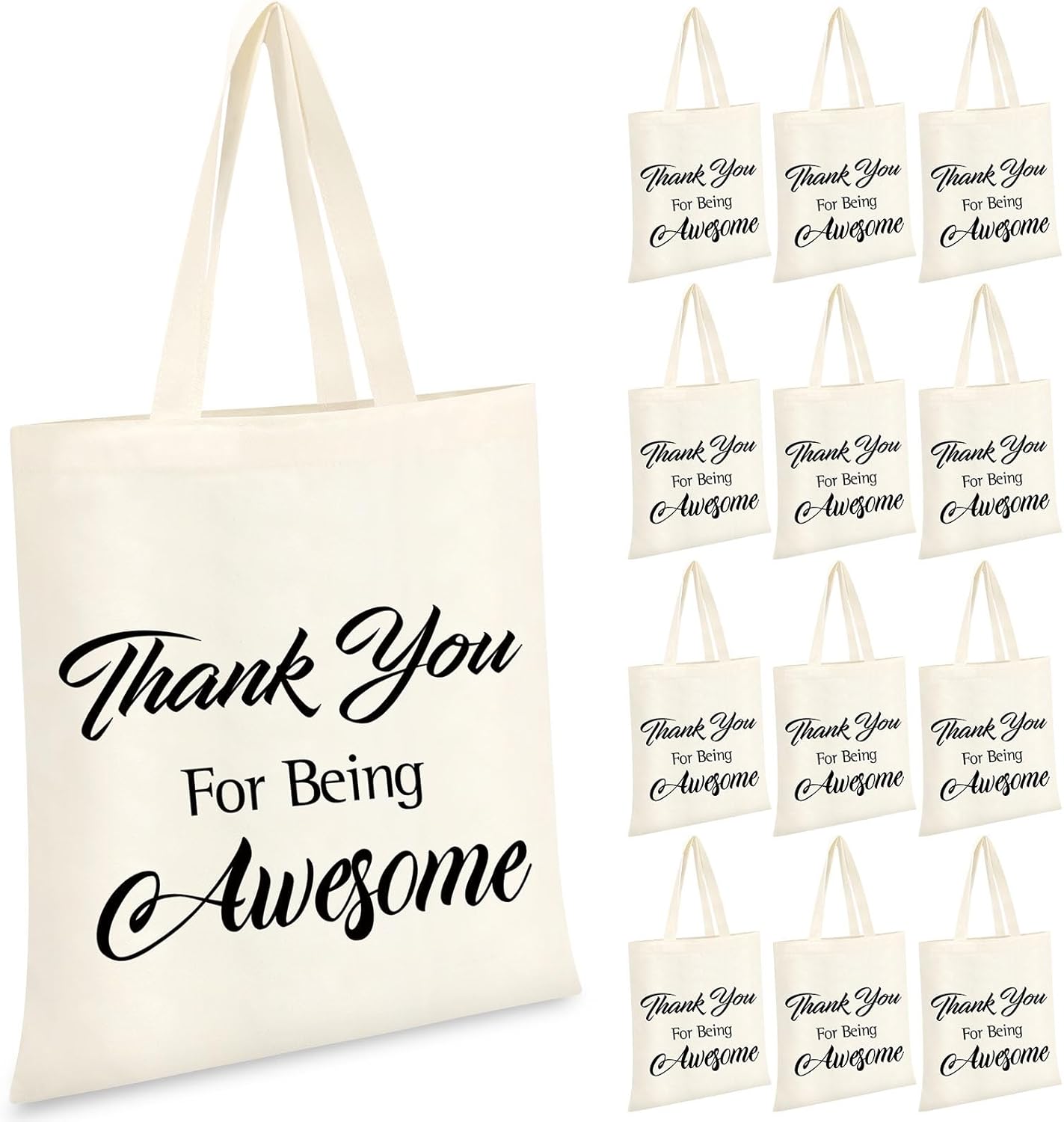 Sweetude 12 piezas de regalos de agradecimiento a los profesores, bolsa de mano inspiradora, bolsa de tela de apreciación a granel, bolsas de lona