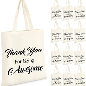 Sweetude 12 piezas de regalos de agradecimiento a los profesores, bolsa de mano inspiradora, bolsa de tela de apreciación a granel, bolsas de lona Sweetude 12 piezas de regalos de agradecimiento a los profesores, bolsa de mano inspiradora, bolsa de tela de apreciación a granel, bolsas de lona