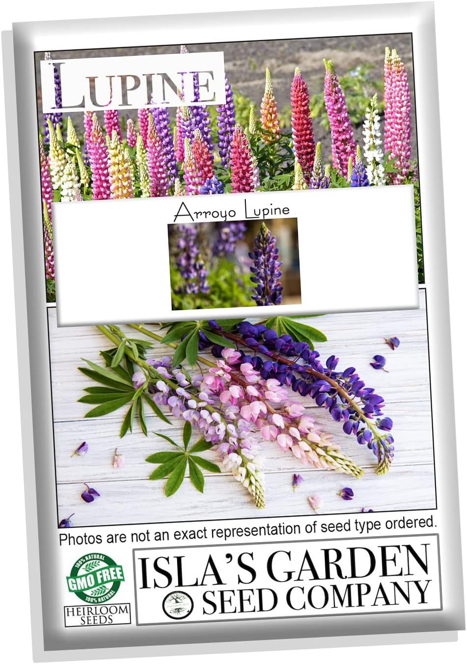 Semillas de flores de altramuz de Arroyo, 100 semillas tradicionales por paquete, semillas sin OMG, nombre botánico Lupinus succulentus, Isla’s