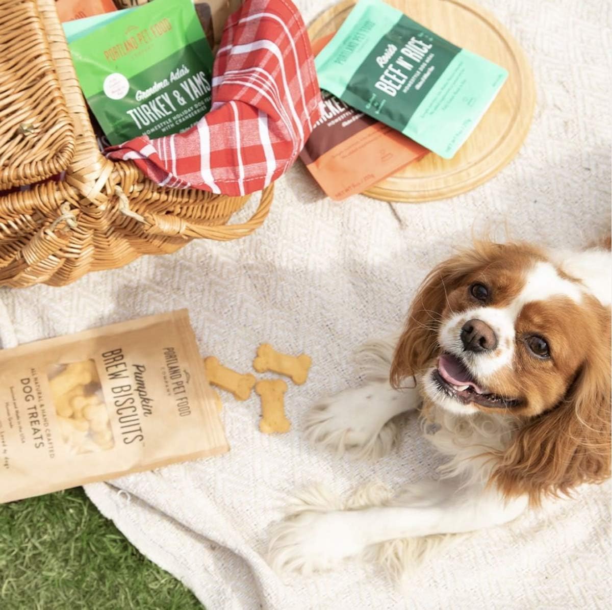 CRAFTED BY HUMANS LOVED BY DOGS Portland Pet Food Company – Golosinas para perros con caldo de carne (1 paquete, bolsa de 5 onzas), totalmente