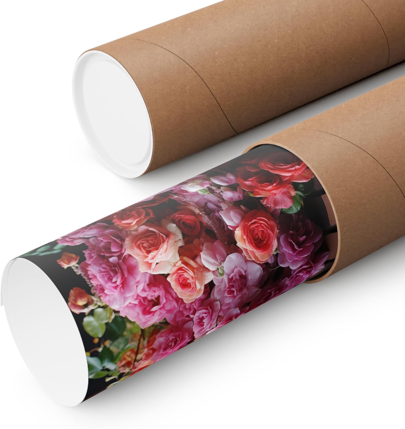 CAPITUNEISKINEPA Climbing Rose Flower Posters Gifts – Posters Aesthetic Large Poster 24″ x 36″