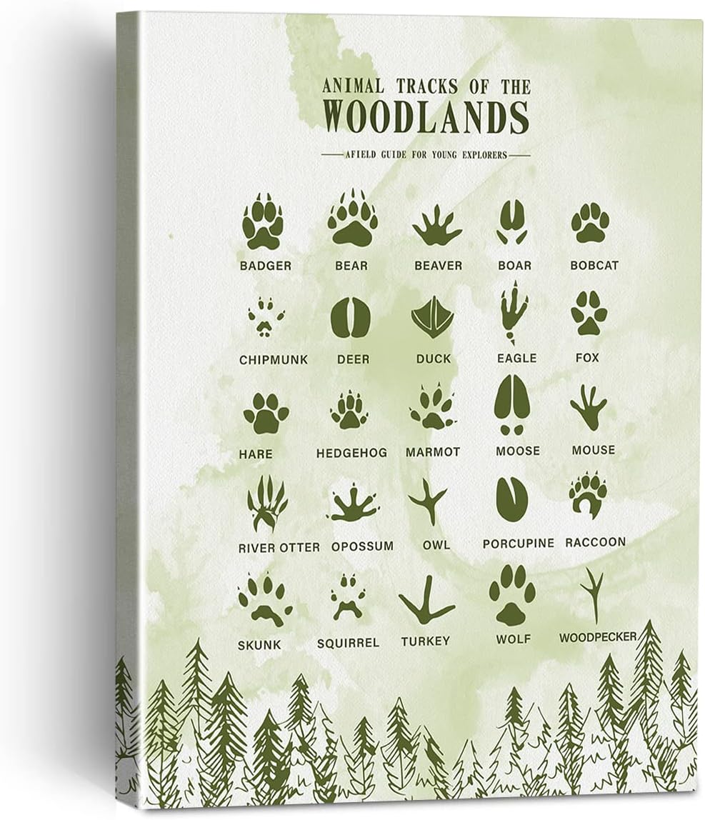 Pistas de animales de los bosques – Lienzo enmarcado para decoración de pared para sala de estar, dormitorio, arte de bosque, acuarela, lienzo