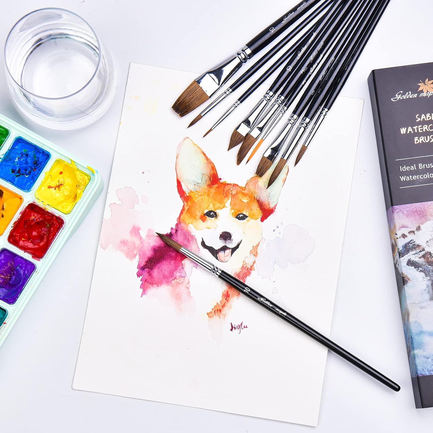 golden maple – Juego profesional de pinceles de acuarela, 10 pinceles de artista, pinceles de pintura de acuarela, pinceles de pintura de punta
