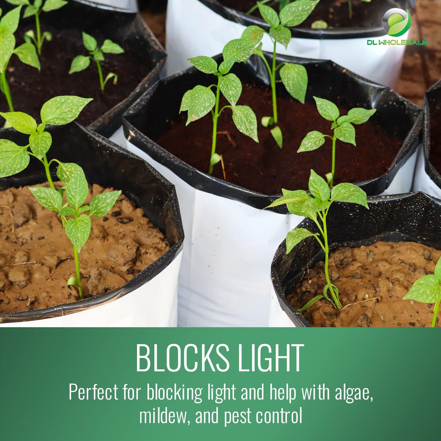Grow1 Bolsas de cultivo de 3 galones (paquete de 50) bolsas de polietileno en blanco y negro para plantas, perfectas para bolsas de vivero de