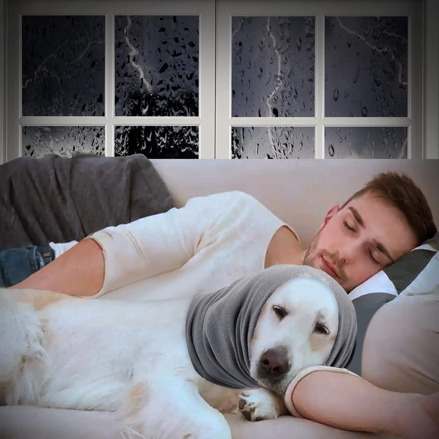 Gorro con capucha para perro, cálido para invierno, sin solapa, para aliviar la ansiedad, calmar, arreglar, calentar el cuello para perros (blanco,