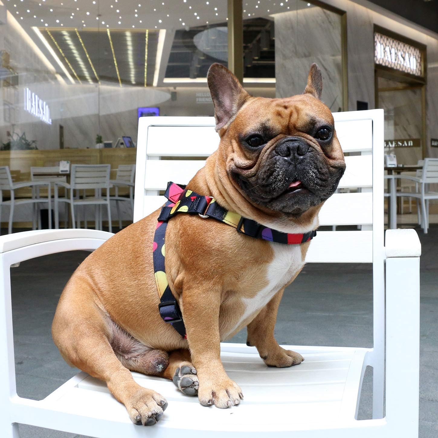 iChoue Arnés para perro, fácil de poner y quitar, arnés ajustable ligero con asa para perros pequeños y medianos, tamaño M