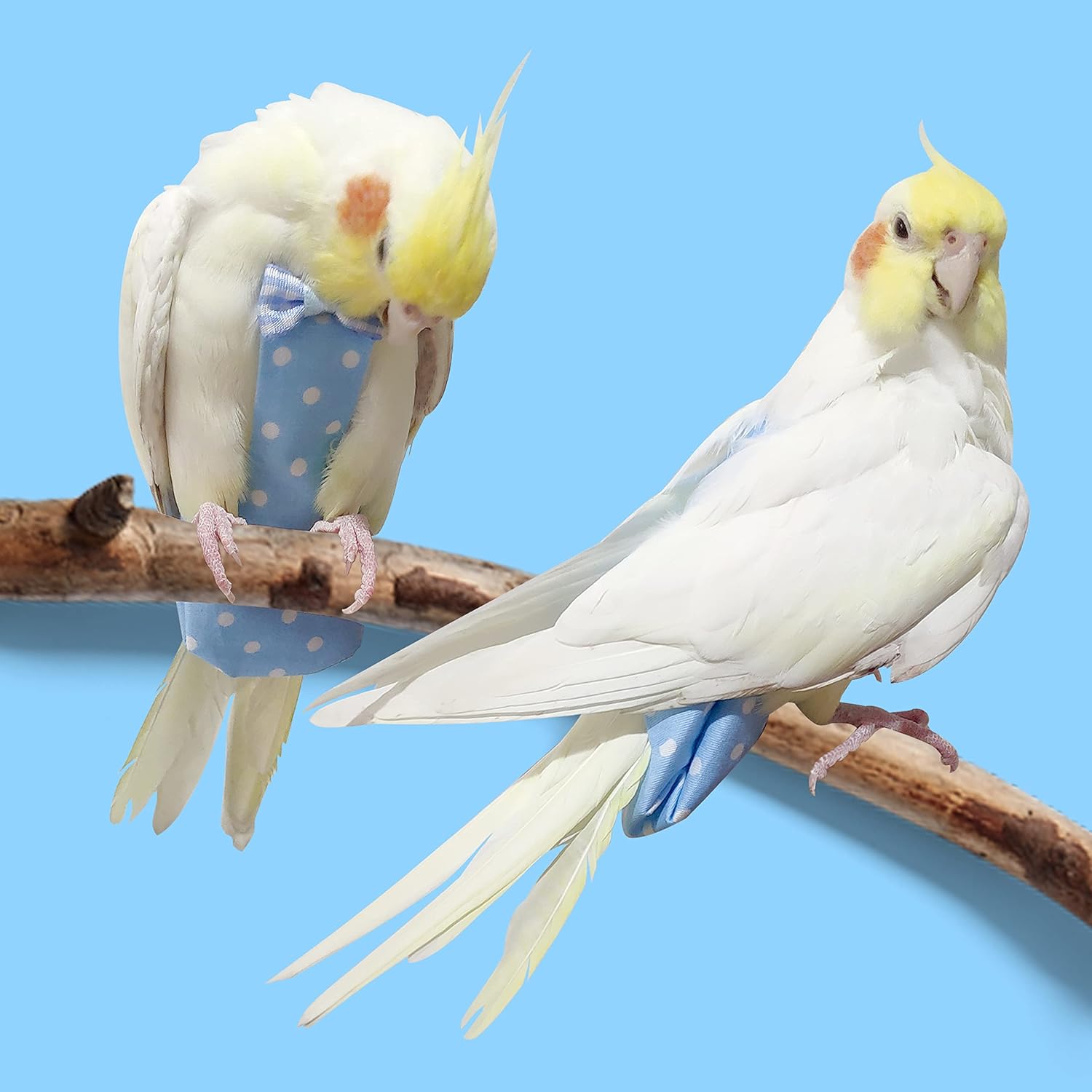 VANFAVORI Arnés de pañales para pájaros, ropa de traje de vuelo con cuerda de correa voladora de 80 pulgadas para loros, conure, cacatúas, aves,