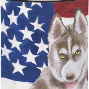 Caroline’s Treasures BB9696CC – Enfriador patriótico para latas o botellas, color gris siberiano, funda plegable con aislamiento para bebidas, Caroline’s Treasures BB9696CC – Enfriador patriótico para latas o botellas, color gris siberiano, funda plegable con aislamiento para bebidas,