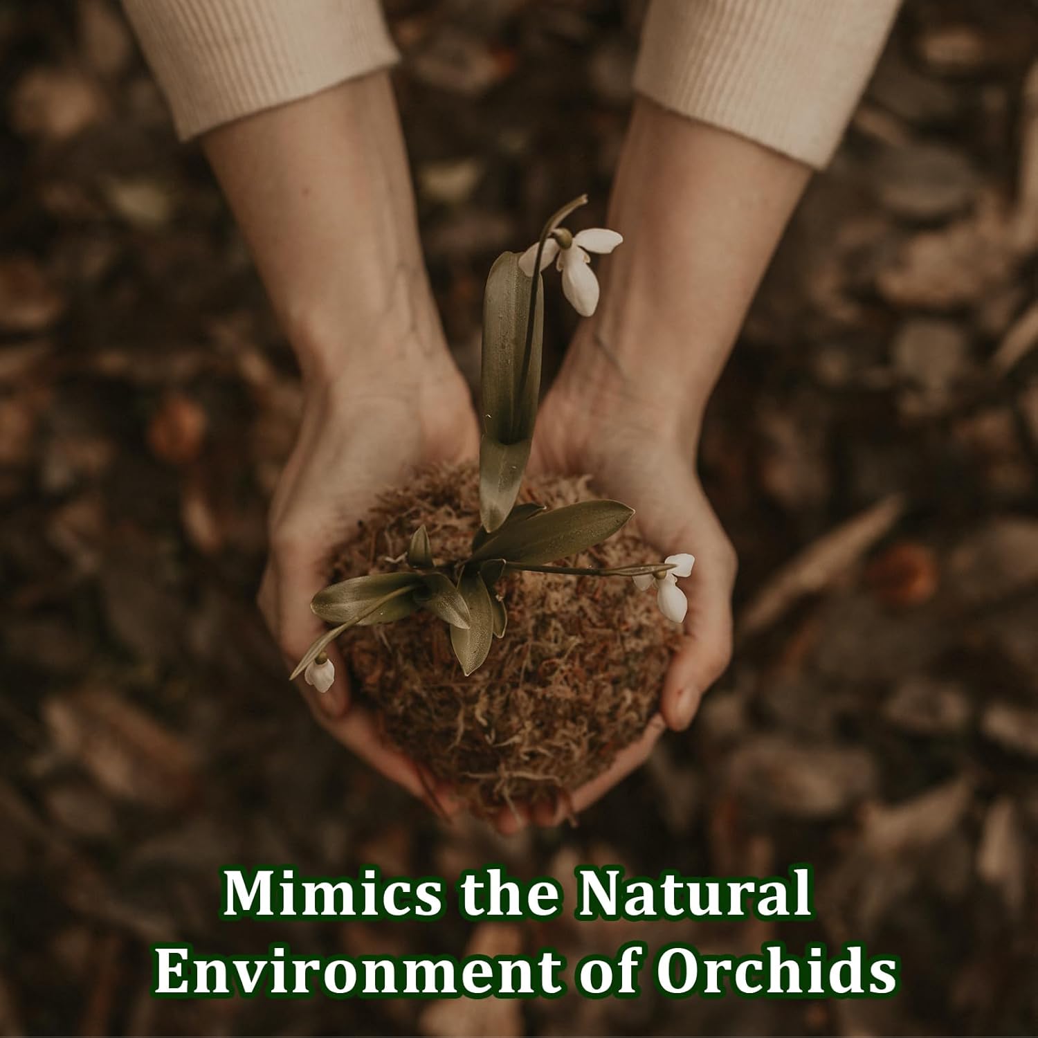 Mezcla para macetas de orquídeas, 2 cuartos de galón de tierra para orquídeas con corteza de orquídea, chips de cáscara de coco, perlita y carbón