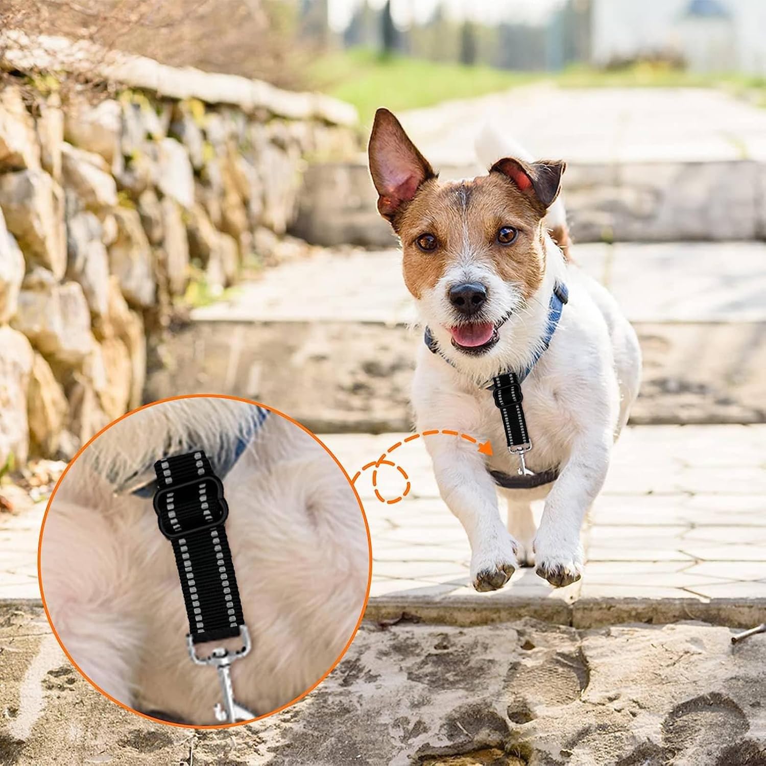 Clip de seguridad para collar de punta, 2 clips de seguridad para perro, clip de seguridad para correa de perro, clip de seguridad reflectante