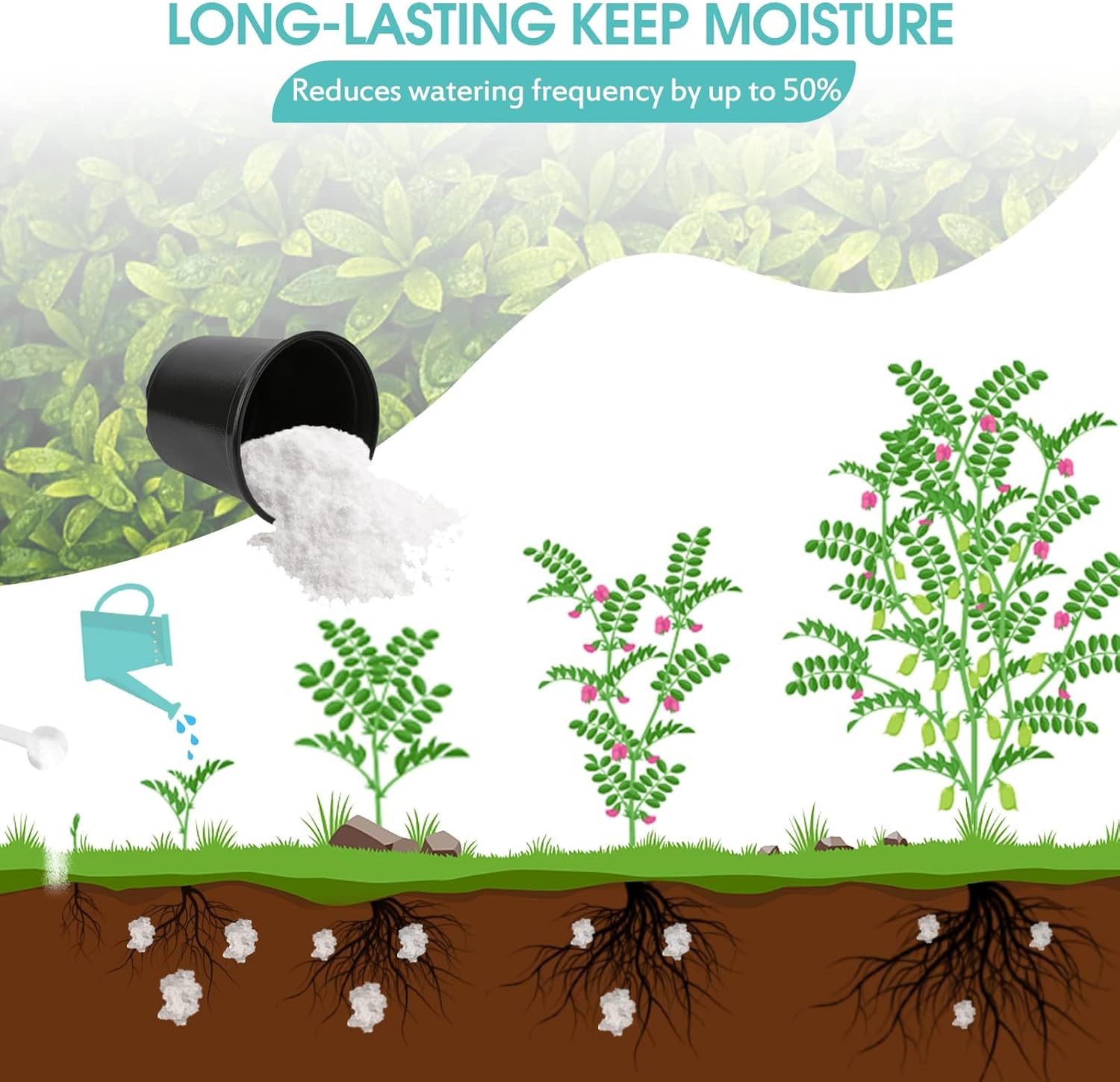 Cristales de almacenamiento de agua de 2 libras para plantas con cuchara, gel de agua que resuelve problemas de riego excesivo y sequía, mantiene el