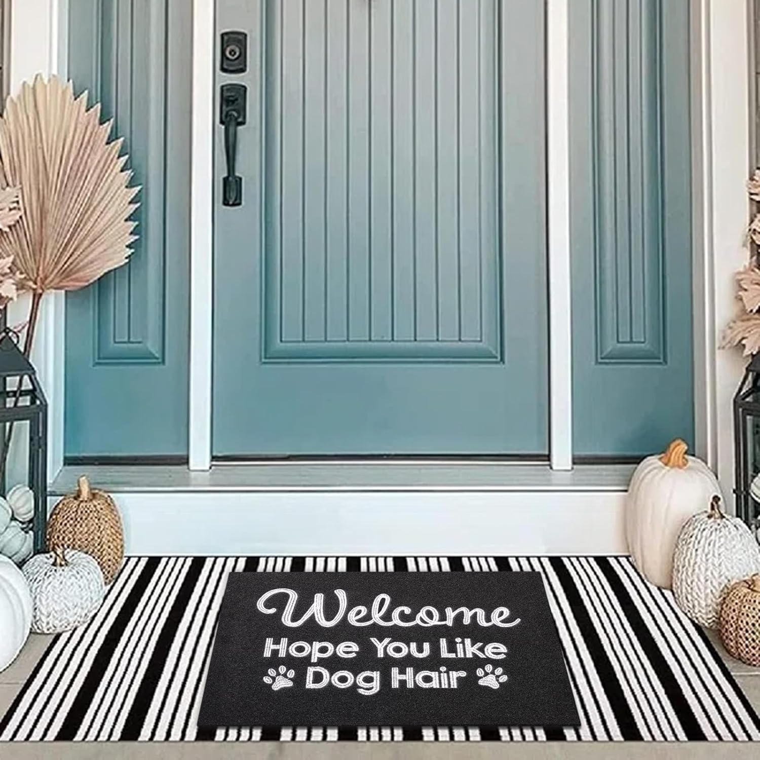 Tapete negro para puerta delantera, tapete de pelo de perro, tapete estándar de bienvenida para puerta delantera, tapete divertido para puerta,