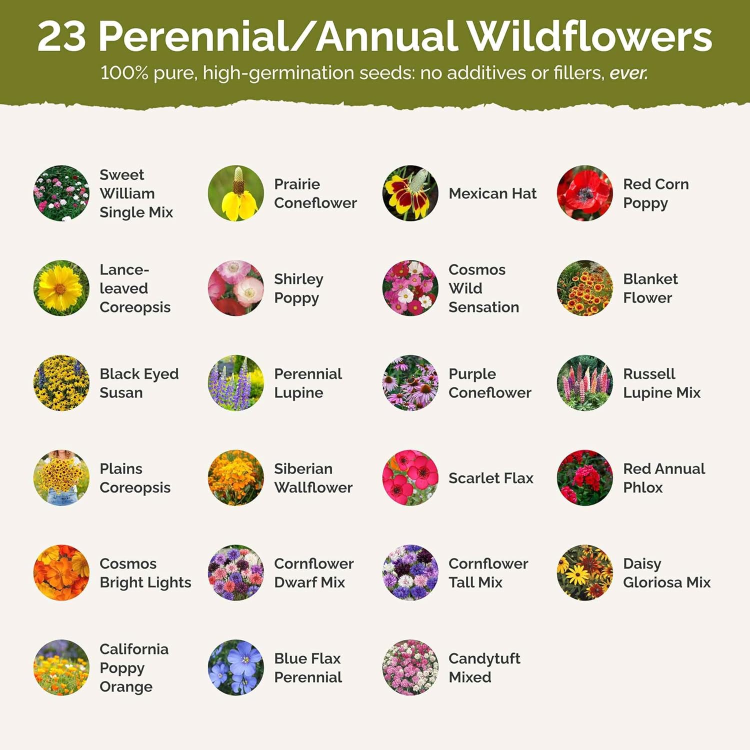 Eden Brothers Semillas mixtas de flores silvestres de Michigan para plantar, 1 libra, más de 480,000 semillas con aciano, Sweet William, Cosmos