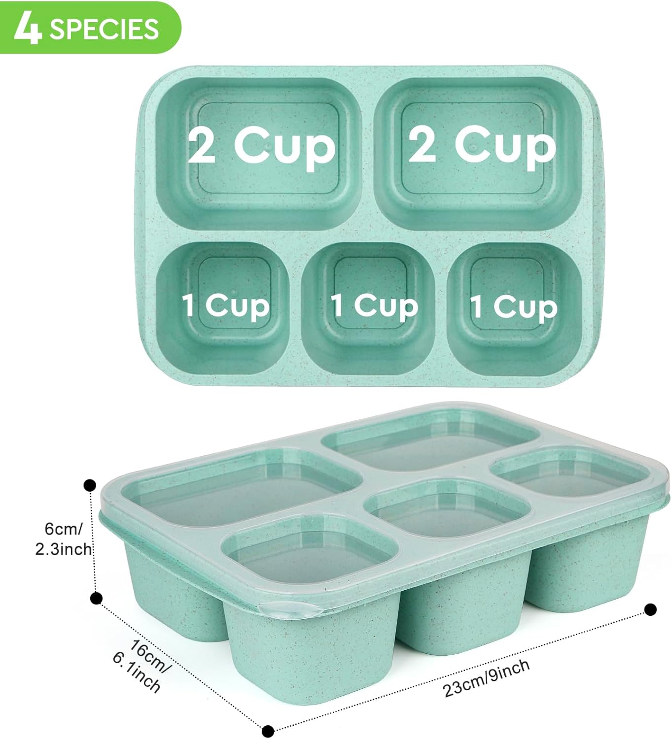 Bento – Loncheras reutilizables con 5 compartimentos, contenedores para alimentos para adultos, para la escuela, el trabajo y los viajes, juego de 4