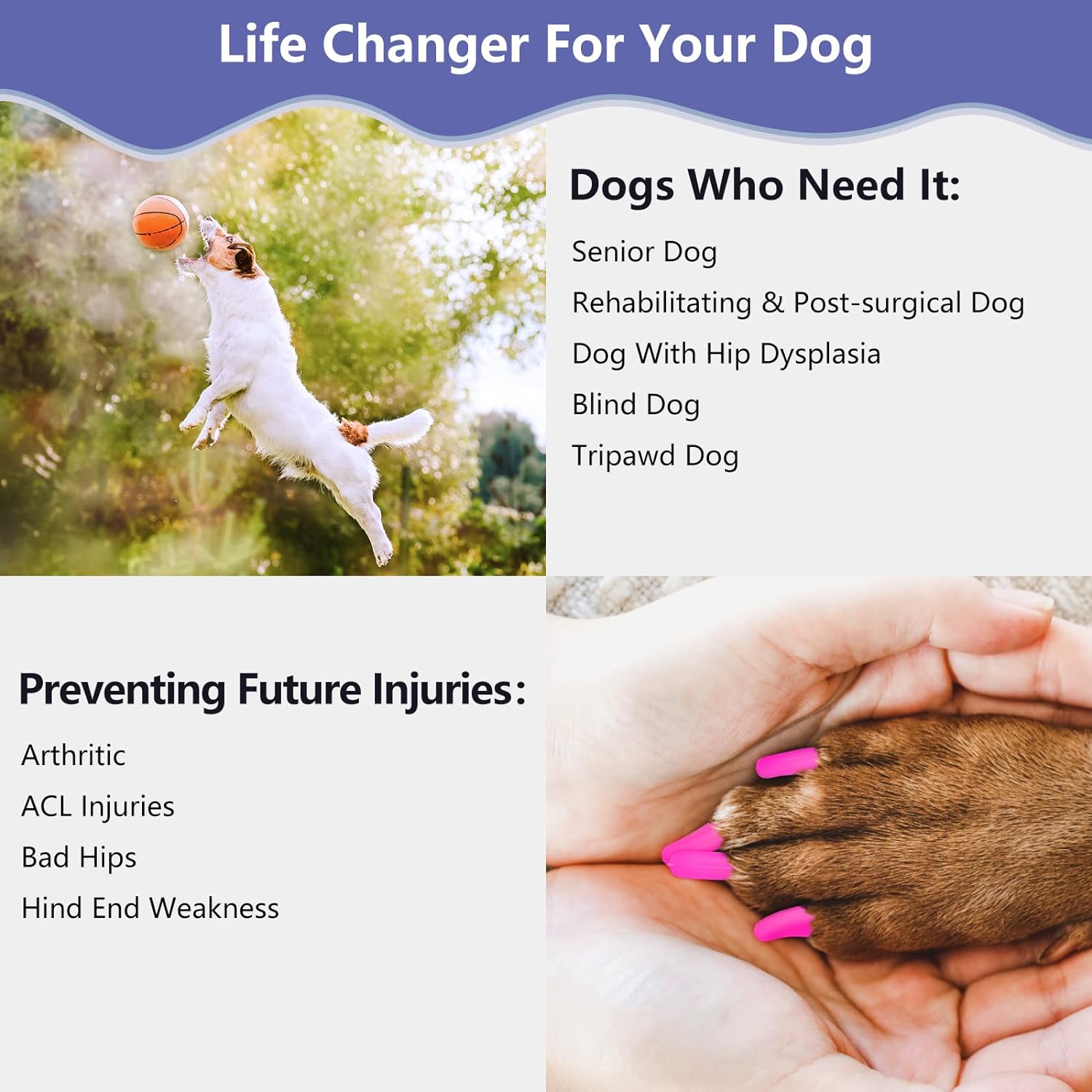 Pinzas de uñas para perros  Antideslizantes para perros mayores, para evitar deslizarse en suelos duros, dos formas de uso, protector de patas de