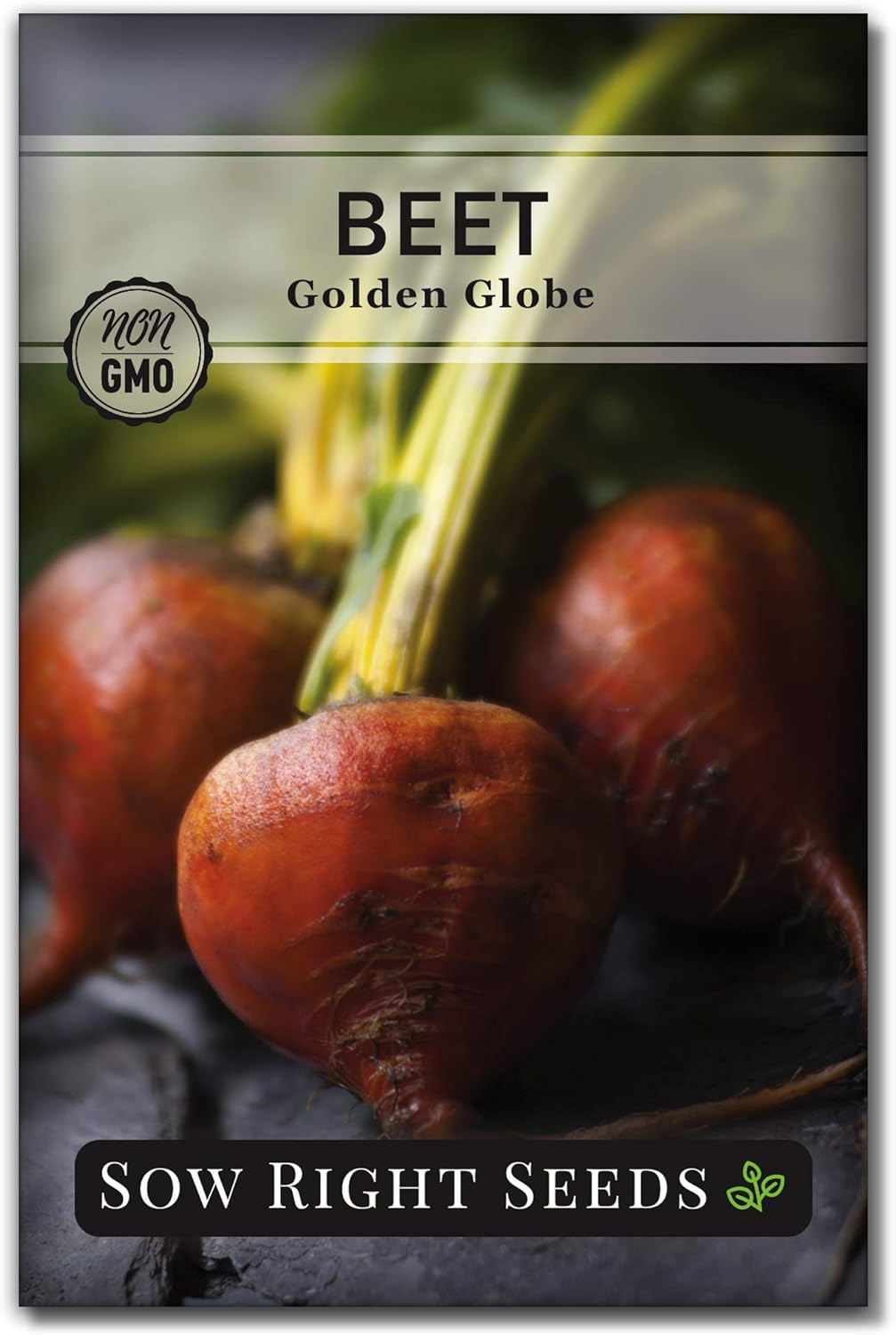 Sow Right Seeds – Semillas de remolacha Golden Globe para plantar – Paquete de reliquia sin OMG con instrucciones para plantar y cultivar un huerto