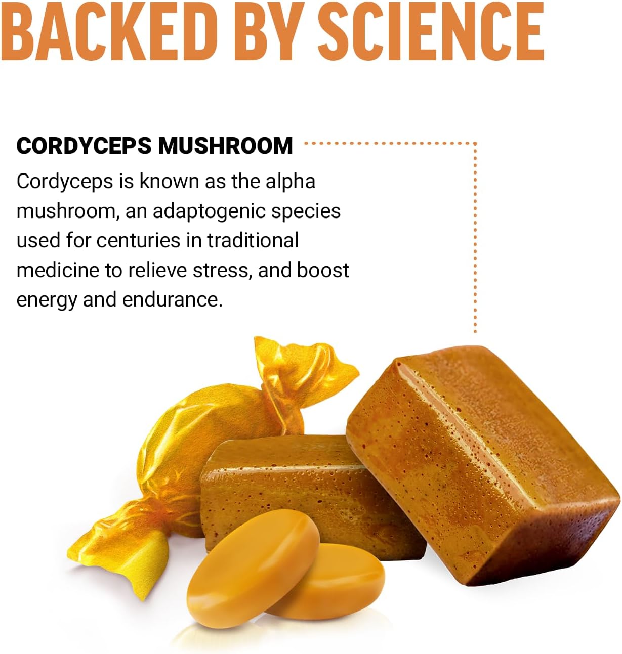 FORCE FACTOR Modern Mushrooms Soft Chews, suplemento de hongos Cordyceps para apoyar el alivio del estrés, la energía y la vitalidad, suplemento