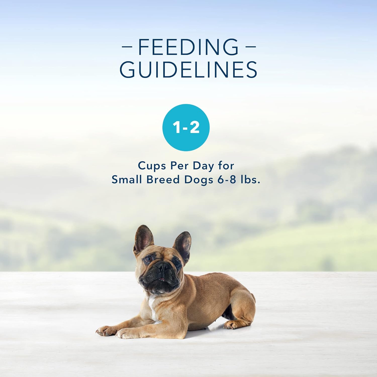Blue Buffalo Delights – Envases con porciones de 3.5 oz de alimento húmedo natural para perros adultos de raza pequeña, con sabor a filete de res en