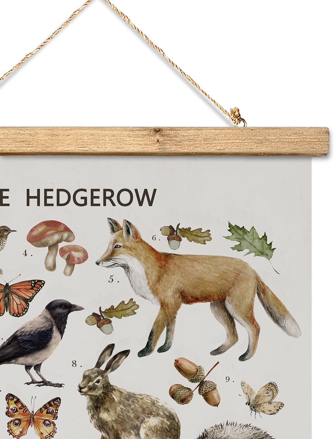 XIAOAIKA British Hedgerow – Póster educativo de vida silvestre, cuadro ilustrado de naturaleza con marco de madera, arte de pared de animales y