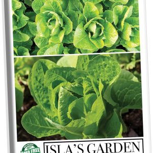 Jericho Semillas de lechuga romana para plantar, más de 500 semillas tradicionales por paquete, semillas de jardín de Isla (semillas de jardín de Jericho Semillas de lechuga romana para plantar, más de 500 semillas tradicionales por paquete, semillas de jardín de Isla (semillas de jardín de