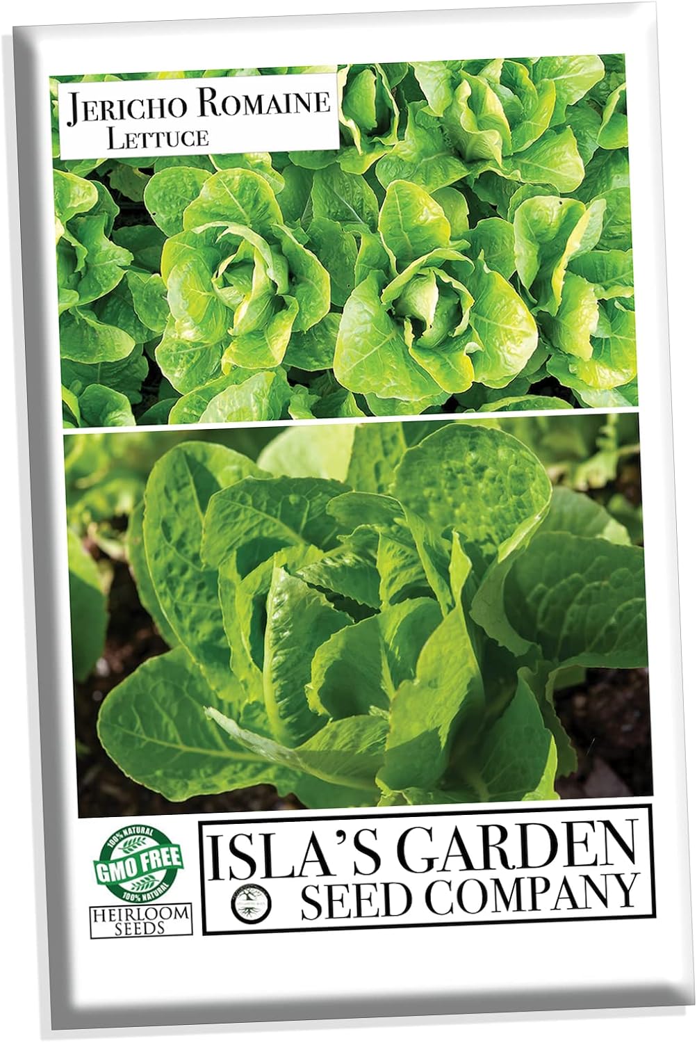 Jericho Semillas de lechuga romana para plantar, más de 500 semillas tradicionales por paquete, semillas de jardín de Isla (semillas de jardín de